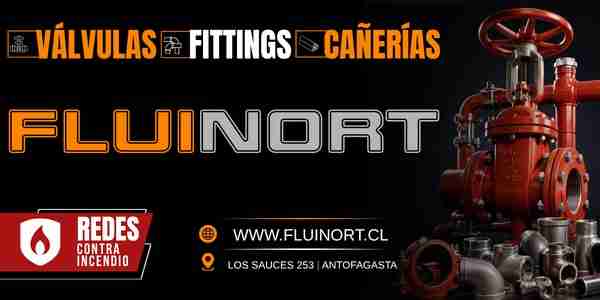 Fluinort.cl